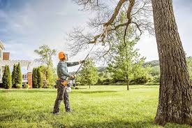 Best Seasonal Cleanup (Spring/Fall)  in Milan, TN